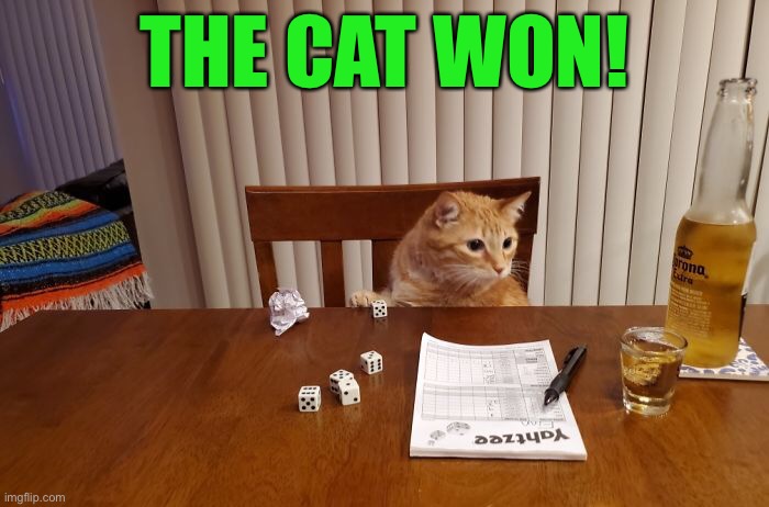Catzee! | THE CAT WON! | image tagged in funny memes,funny cat memes,funny,cats,yatzee | made w/ Imgflip meme maker