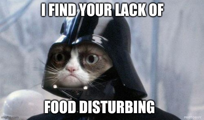 Grumpy Cat Star Wars | I FIND YOUR LACK OF; FOOD DISTURBING | image tagged in memes,grumpy cat star wars,grumpy cat | made w/ Imgflip meme maker