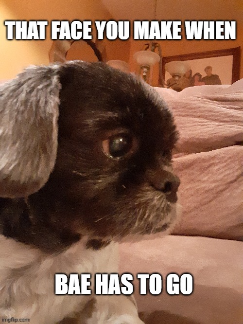 THAT FACE YOU MAKE WHEN; BAE HAS TO GO | made w/ Imgflip meme maker
