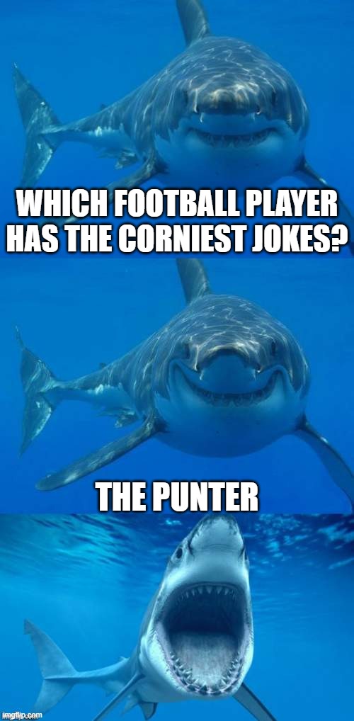 If you haven't hated me before do you now? | WHICH FOOTBALL PLAYER HAS THE CORNIEST JOKES? THE PUNTER | image tagged in bad shark pun,puns,bad puns,jokes | made w/ Imgflip meme maker