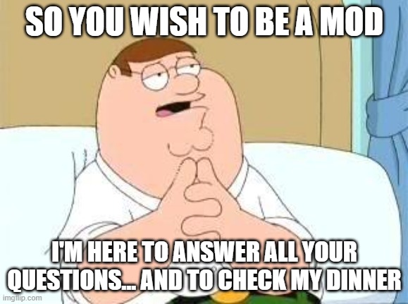 peter griffin go on | SO YOU WISH TO BE A MOD; I'M HERE TO ANSWER ALL YOUR QUESTIONS... AND TO CHECK MY DINNER | image tagged in peter griffin go on | made w/ Imgflip meme maker