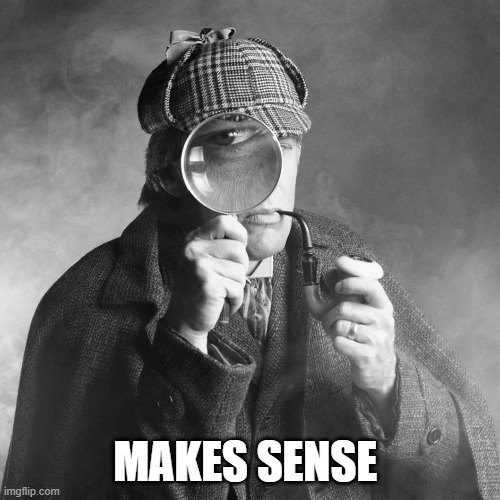 Sherlock Holmes | MAKES SENSE | image tagged in sherlock holmes | made w/ Imgflip meme maker