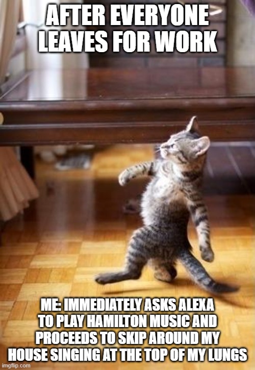 This is me literally every time I'm alone at my house | AFTER EVERYONE LEAVES FOR WORK; ME: IMMEDIATELY ASKS ALEXA TO PLAY HAMILTON MUSIC AND PROCEEDS TO SKIP AROUND MY HOUSE SINGING AT THE TOP OF MY LUNGS | image tagged in memes,cool cat stroll | made w/ Imgflip meme maker