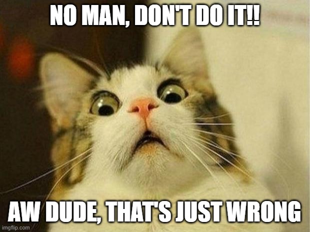 Scared Cat Meme | NO MAN, DON'T DO IT!! AW DUDE, THAT'S JUST WRONG | image tagged in memes,scared cat | made w/ Imgflip meme maker
