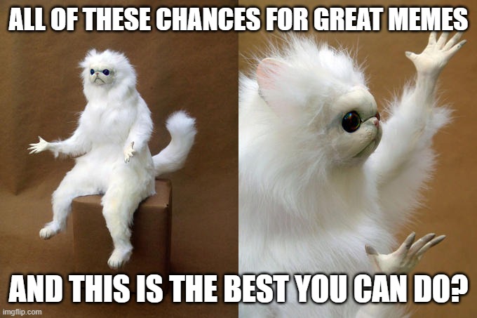 Persian Cat Room Guardian |  ALL OF THESE CHANCES FOR GREAT MEMES; AND THIS IS THE BEST YOU CAN DO? | image tagged in memes,persian cat room guardian | made w/ Imgflip meme maker