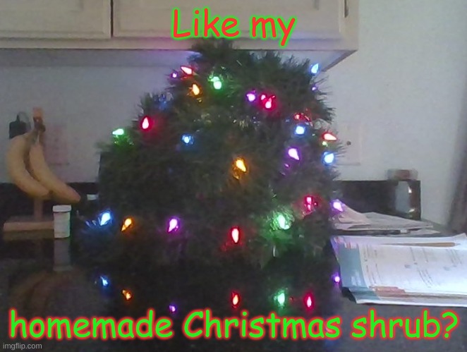 Made it myself. | Like my; homemade Christmas shrub? | image tagged in homemade,christmas tree,diy,craft | made w/ Imgflip meme maker