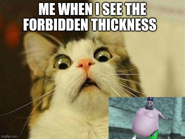 Scared Cat |  ME WHEN I SEE THE FORBIDDEN THICKNESS | image tagged in memes,scared cat | made w/ Imgflip meme maker