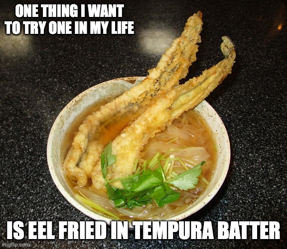 Awajishima Noodles With Eel Tempura | ONE THING I WANT TO TRY ONE IN MY LIFE; IS EEL FRIED IN TEMPURA BATTER | image tagged in tempura,food,noodles,memes | made w/ Imgflip meme maker