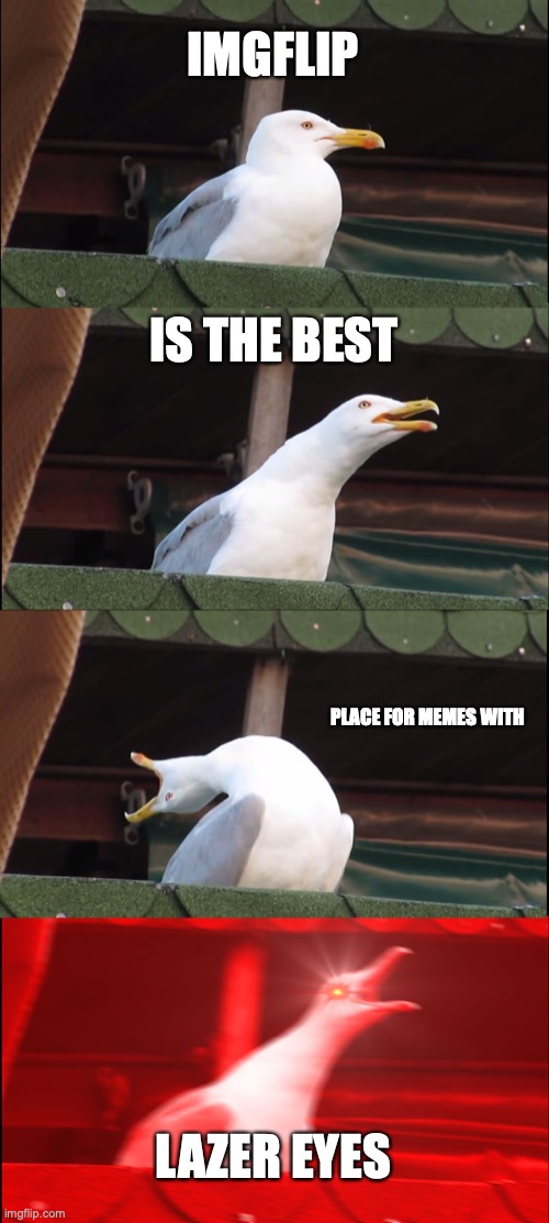 Inhaling Seagull Meme | IMGFLIP; IS THE BEST; PLACE FOR MEMES WITH; LAZER EYES | image tagged in memes,inhaling seagull | made w/ Imgflip meme maker