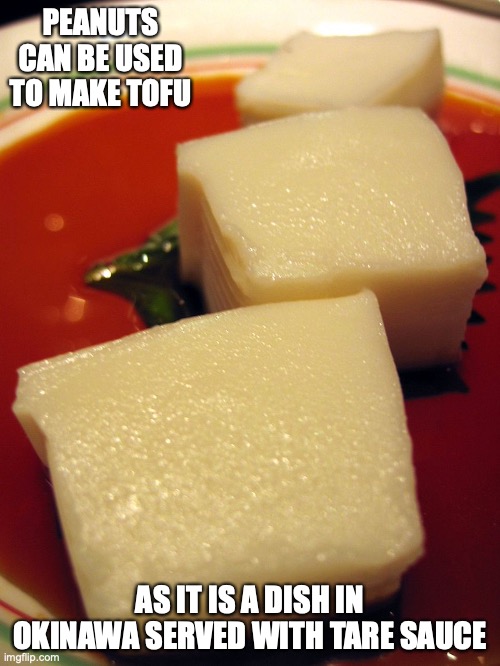 Peanut Tofu | PEANUTS CAN BE USED TO MAKE TOFU; AS IT IS A DISH IN OKINAWA SERVED WITH TARE SAUCE | image tagged in peanuts,memes,food | made w/ Imgflip meme maker