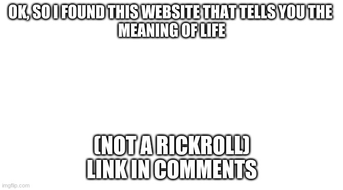 FACTS | OK, SO I FOUND THIS WEBSITE THAT TELLS YOU THE 
MEANING OF LIFE; (NOT A RICKROLL)
LINK IN COMMENTS | image tagged in starter pack | made w/ Imgflip meme maker