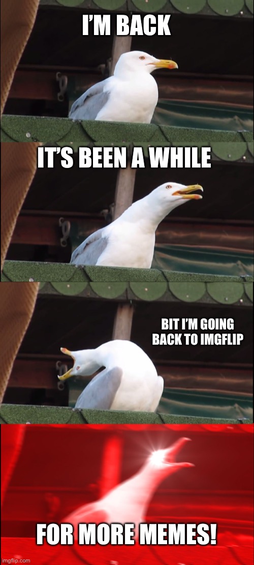 I’m BAAAAAAAAAACK!!! |  I’M BACK; IT’S BEEN A WHILE; BIT I’M GOING BACK TO IMGFLIP; FOR MORE MEMES! | image tagged in memes,inhaling seagull | made w/ Imgflip meme maker