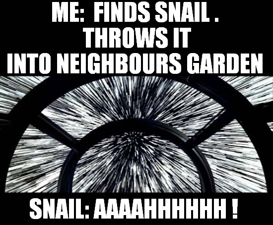 Snail Hyperdrive | ME:  FINDS SNAIL .
 THROWS IT INTO NEIGHBOURS GARDEN; SNAIL: AAAAHHHHHH ! | image tagged in snail,hyperdrive,star wars,front page | made w/ Imgflip meme maker