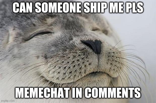i want an imgflip fam <3 | CAN SOMEONE SHIP ME PLS; MEMECHAT IN COMMENTS | image tagged in memes,satisfied seal | made w/ Imgflip meme maker