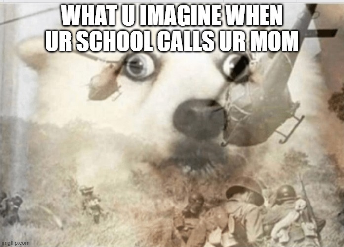 hm | WHAT U IMAGINE WHEN UR SCHOOL CALLS UR MOM | image tagged in ptsd dog | made w/ Imgflip meme maker