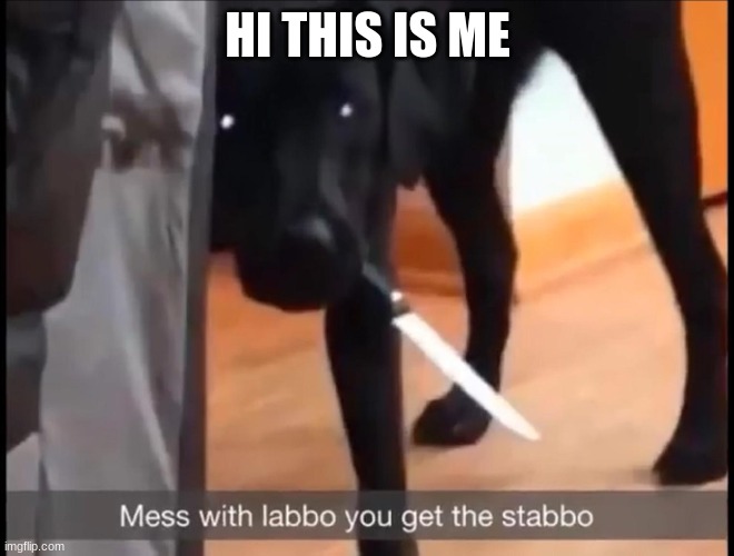 mess with labbo you get stabbo | HI THIS IS ME | image tagged in mess with labbo you get stabbo | made w/ Imgflip meme maker