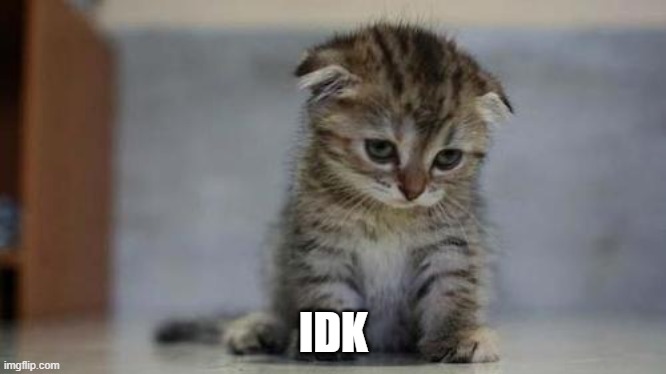 Sad kitten | IDK | image tagged in sad kitten | made w/ Imgflip meme maker