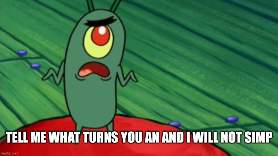 Plankton didn't think he'd get this far | TELL ME WHAT TURNS YOU AN AND I WILL NOT SIMP | image tagged in plankton didn't think he'd get this far | made w/ Imgflip meme maker
