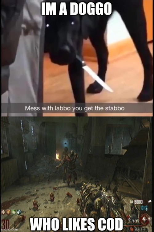 IM A DOGGO WHO LIKES COD | image tagged in mess with labbo you get stabbo,mob of the dead | made w/ Imgflip meme maker