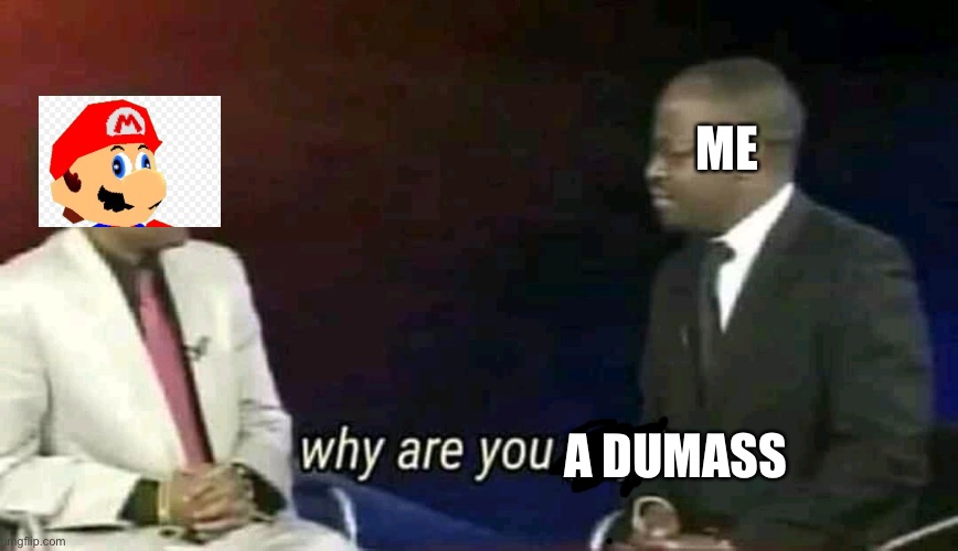 Why are you gay? | ME; A DUMASS | image tagged in why are you gay | made w/ Imgflip meme maker