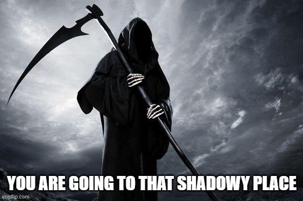 Death | YOU ARE GOING TO THAT SHADOWY PLACE | image tagged in death | made w/ Imgflip meme maker