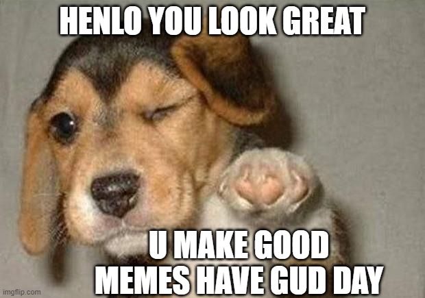 doggos never lie |  HENLO YOU LOOK GREAT; U MAKE GOOD MEMES HAVE GUD DAY | image tagged in winking dog,wholesome,love wins,good memes | made w/ Imgflip meme maker