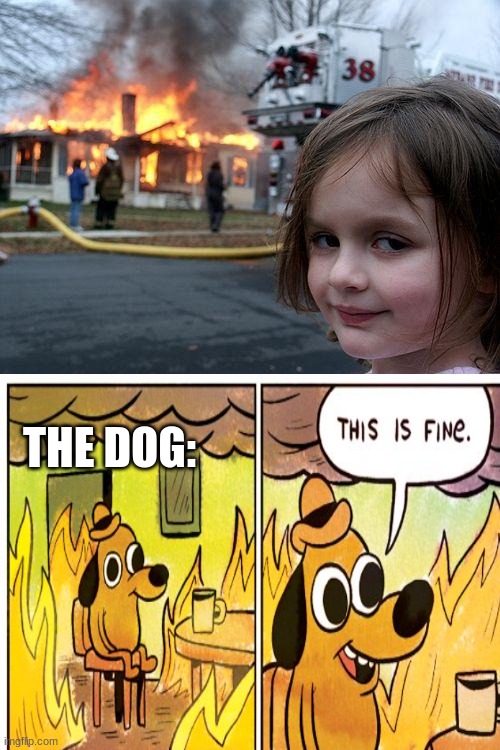 This is Fine | THE DOG: | image tagged in memes,disaster girl | made w/ Imgflip meme maker