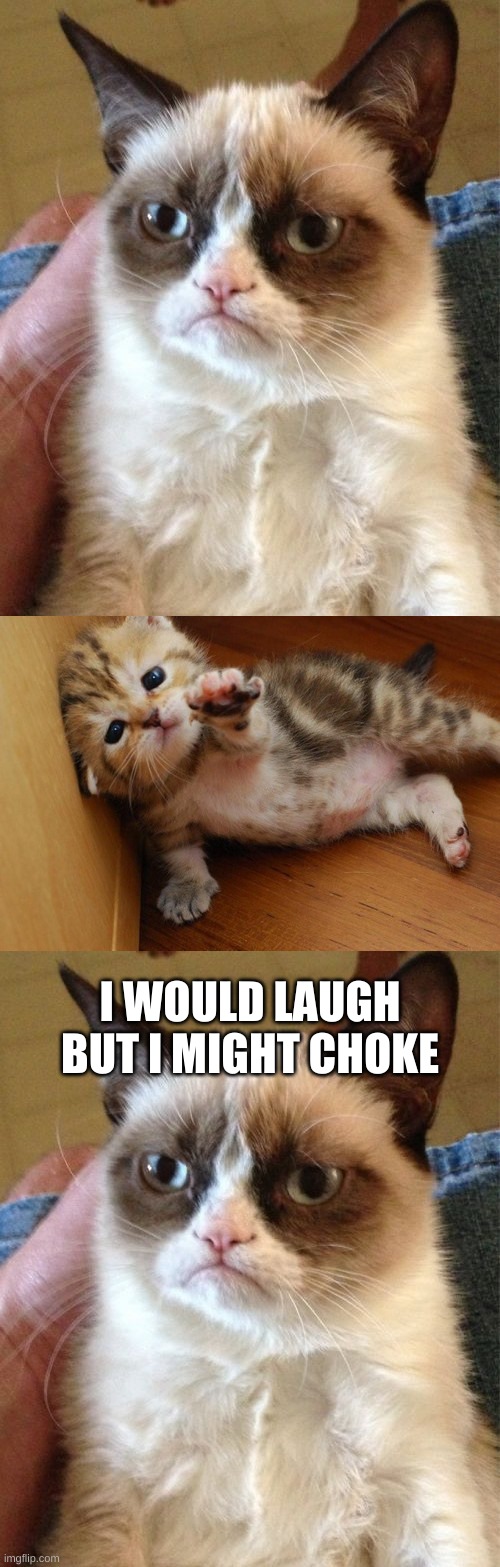 I WOULD LAUGH BUT I MIGHT CHOKE | image tagged in memes,grumpy cat,help cat | made w/ Imgflip meme maker