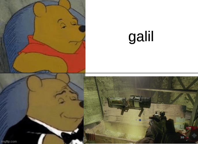 Tuxedo Winnie The Pooh Meme | galil | image tagged in memes,tuxedo winnie the pooh | made w/ Imgflip meme maker