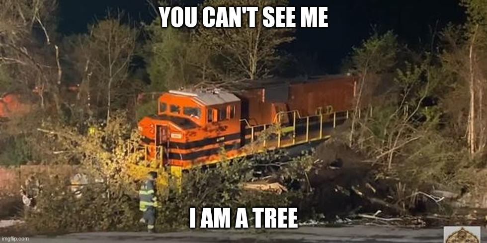 YOU CAN'T SEE ME; I AM A TREE | image tagged in memes,trains,funny | made w/ Imgflip meme maker