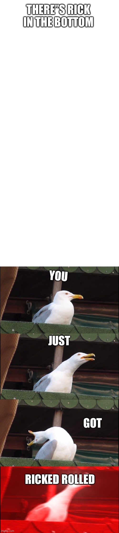 Inhaling Seagull Meme | THERE”S RICK IN THE BOTTOM; YOU; JUST; GOT; RICKED ROLLED | image tagged in memes,funny,meme,bird,angry bird | made w/ Imgflip meme maker