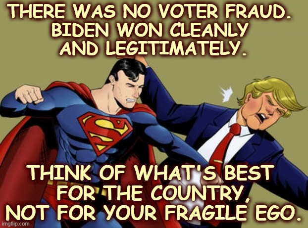 THERE WAS NO VOTER FRAUD. 
BIDEN WON CLEANLY 
AND LEGITIMATELY. THINK OF WHAT'S BEST 
FOR THE COUNTRY, NOT FOR YOUR FRAGILE EGO. | image tagged in superman,strong,trump,weak | made w/ Imgflip meme maker