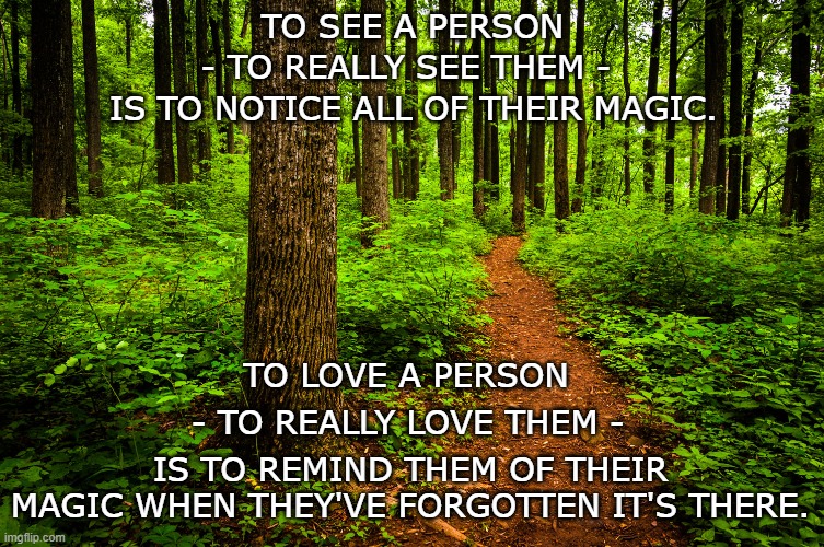 Notice a Person | TO SEE A PERSON; - TO REALLY SEE THEM -; IS TO NOTICE ALL OF THEIR MAGIC. TO LOVE A PERSON; - TO REALLY LOVE THEM -; IS TO REMIND THEM OF THEIR MAGIC WHEN THEY'VE FORGOTTEN IT'S THERE. | image tagged in forest path | made w/ Imgflip meme maker