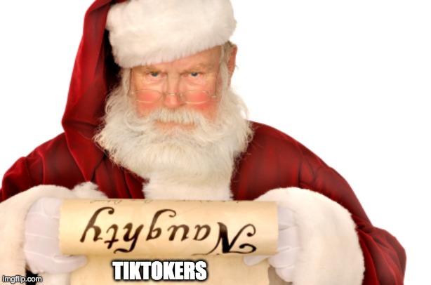 TikTokers are on MY naughty list! | TIKTOKERS | image tagged in santa naughty list | made w/ Imgflip meme maker