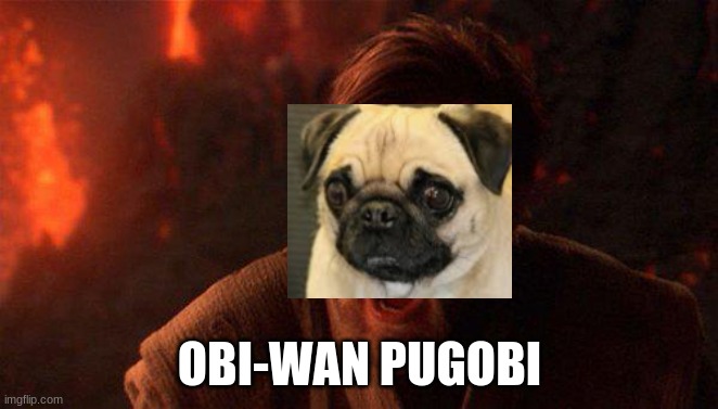 cuz why not? | OBI-WAN PUGOBI | image tagged in obi one | made w/ Imgflip meme maker