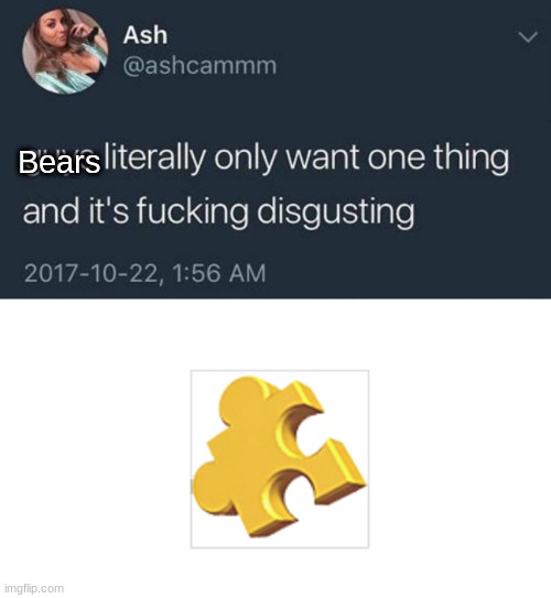 you damn right | Bears | image tagged in guys only want 1 thing,banjo | made w/ Imgflip meme maker