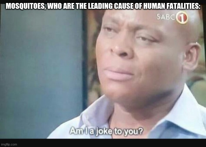 Am I a joke to you? | MOSQUITOES, WHO ARE THE LEADING CAUSE OF HUMAN FATALITIES: | image tagged in am i a joke to you | made w/ Imgflip meme maker