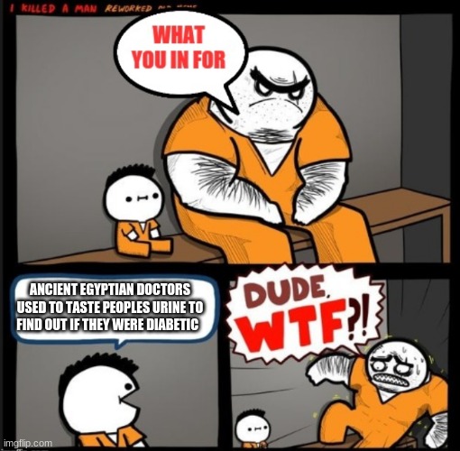 Dude WTF | ANCIENT EGYPTIAN DOCTORS USED TO TASTE PEOPLES URINE TO FIND OUT IF THEY WERE DIABETIC | image tagged in dude wtf | made w/ Imgflip meme maker