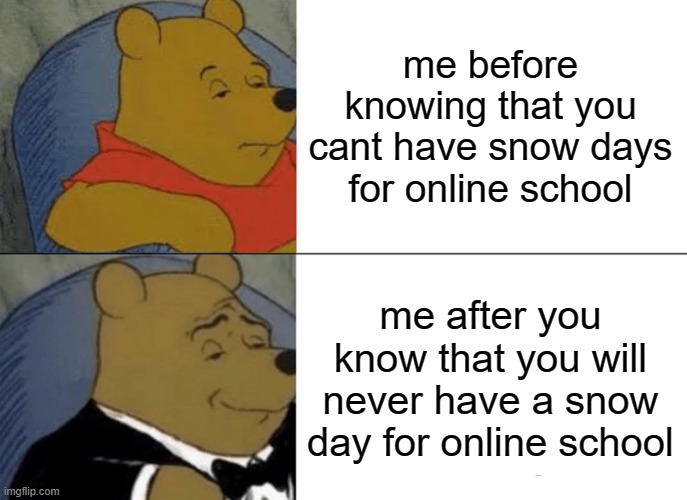 Tuxedo Winnie The Pooh Meme | me before knowing that you cant have snow days for online school; me after you know that you will never have a snow day for online school | image tagged in memes,tuxedo winnie the pooh | made w/ Imgflip meme maker