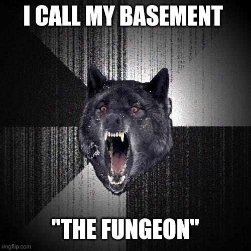 Insanity Wolf | I CALL MY BASEMENT; "THE FUNGEON" | image tagged in memes,insanity wolf | made w/ Imgflip meme maker