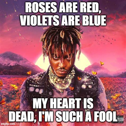 ROSES ARE RED, VIOLETS ARE BLUE; MY HEART IS DEAD, I'M SUCH A FOOL | made w/ Imgflip meme maker