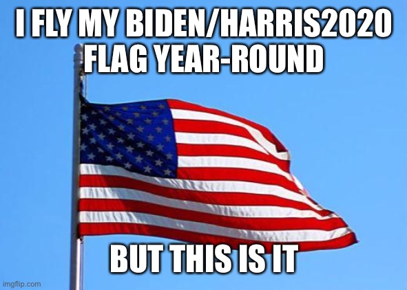 American flag | I FLY MY BIDEN/HARRIS2020 FLAG YEAR-ROUND BUT THIS IS IT | image tagged in american flag | made w/ Imgflip meme maker