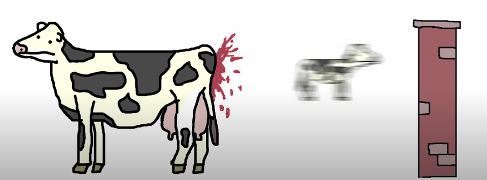 High Quality samonella cow Blank Meme Template