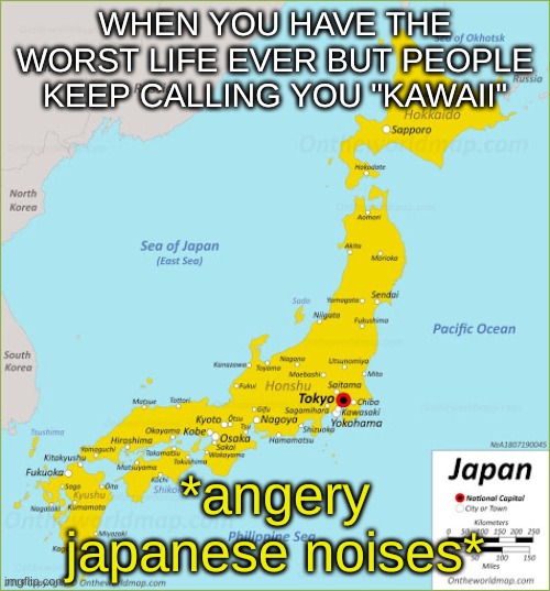 lmao | WHEN YOU HAVE THE WORST LIFE EVER BUT PEOPLE KEEP CALLING YOU "KAWAII"; *angery japanese noises* | image tagged in weeb | made w/ Imgflip meme maker