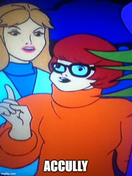 /// | ACCULLY | image tagged in acualy velma | made w/ Imgflip meme maker