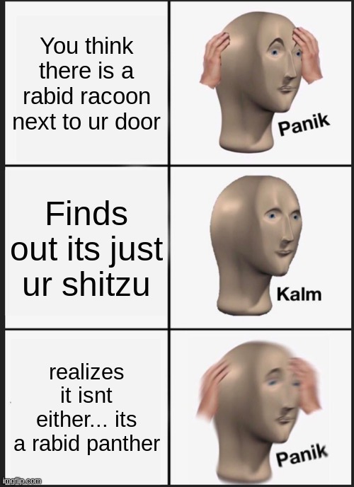 Panik Kalm PANIIIIIIIIIIIIIIIIIIk | You think there is a rabid racoon next to ur door; Finds out its just ur shitzu; realizes it isnt either... its a rabid panther | image tagged in memes,panik kalm panik | made w/ Imgflip meme maker