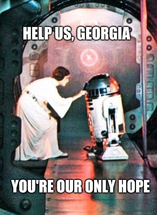 Help us, Georgia, you're our only hope | HELP US, GEORGIA; YOU'RE OUR ONLY HOPE | image tagged in georgia,political meme,star wars | made w/ Imgflip meme maker