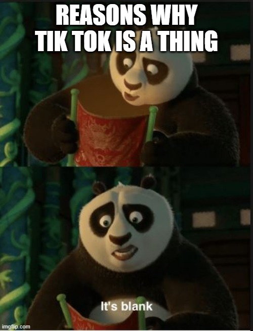 Its Blank | REASONS WHY TIK TOK IS A THING | image tagged in its blank | made w/ Imgflip meme maker