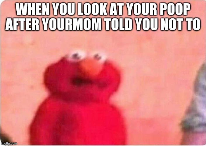 Sickened elmo | WHEN YOU LOOK AT YOUR POOP AFTER YOURMOM TOLD YOU NOT TO | image tagged in sickened elmo | made w/ Imgflip meme maker
