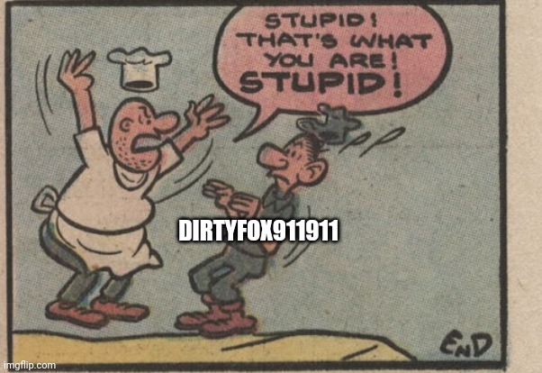 Stupid! That's what you are! Stupid! | DIRTYFOX911911 | image tagged in stupid that's what you are stupid | made w/ Imgflip meme maker